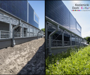 Przy Kozienickim Domu Kultury powstała łąka kwietna