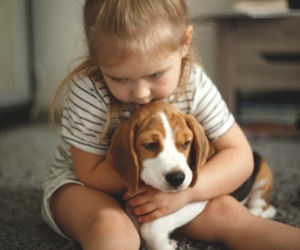 Dziecko marzy o psie? Sprawdź, czy naprawdę jest gotowe – odpowiedź może cię zaskoczyć