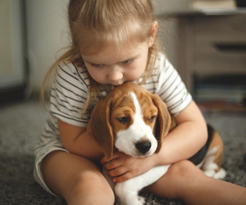 Dziecko marzy o psie? Sprawdź, czy naprawdę jest gotowe – odpowiedź może cię zaskoczyć