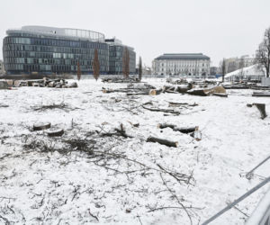 Rzeź drzew w parku w centrum Warszawy. Przygnębiający widok przed odbudową Pałacu Saskiego