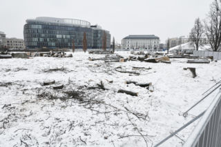 Rzeź drzew w parku w centrum Warszawy. Przygnębiający widok przed odbudową Pałacu Saskiego