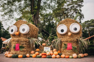 Rodzinne Halloween w JuraParku Solec w Solcu Kujawskim