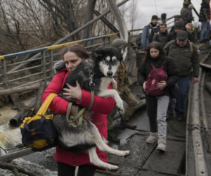 Ukraina. Uratowane zwierzęta