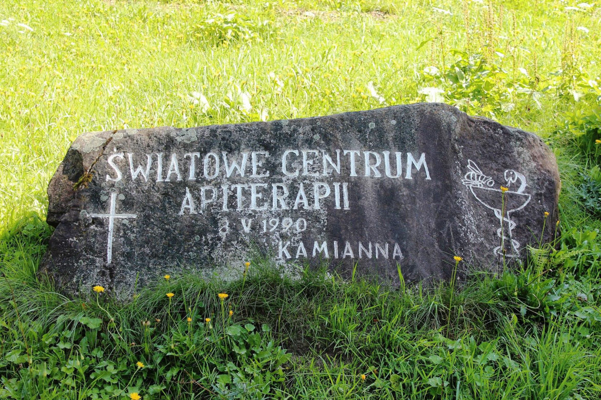 Kamianna. Zapomniana małopolska wieś to światowe centrum apiterapii 