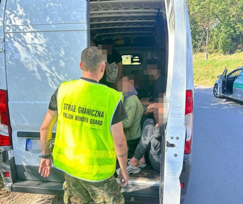 Migranci