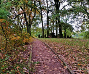 Stary cmentarz na Warszewie
