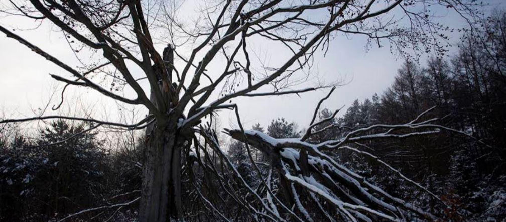 Szklana Huta na zdjęciach