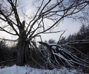 Szklana Huta na zdjęciach