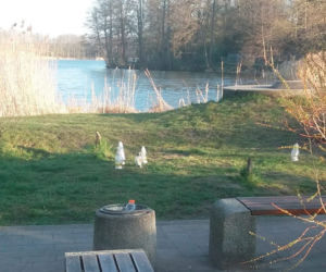 Zatłukł kolegę, bo nie postawił mu piwa