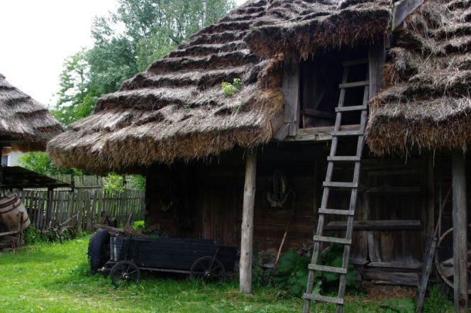 Kuligów i okolice