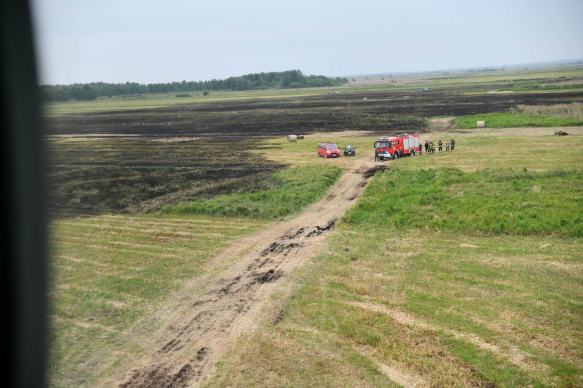 Pożar Biebrzańskiego Parku Narodowego. Spłonęło 13 ha łąk [12/13.06.2023]