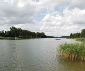 Jeziora w Toruniu i okolicach. Tutaj możesz odpocząć nad wodą