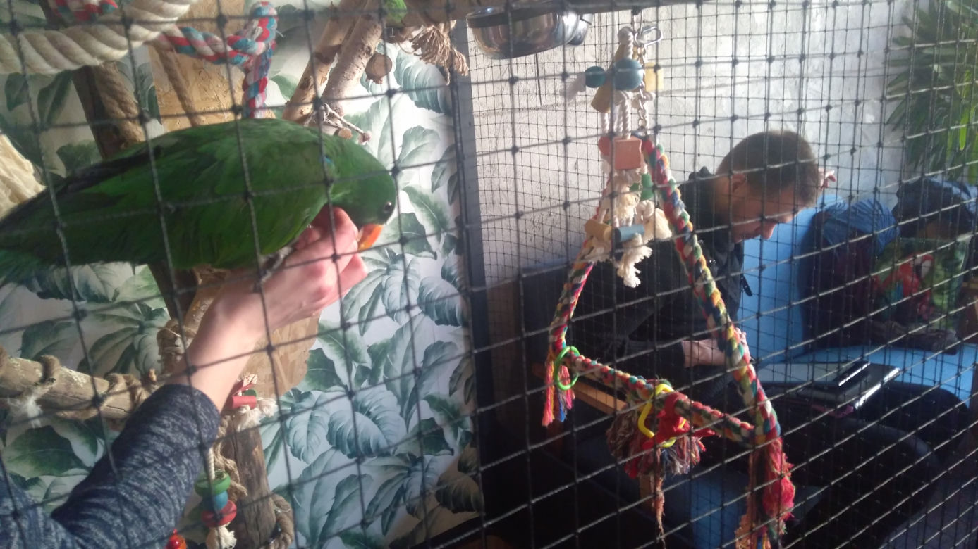 Parrot Coffee