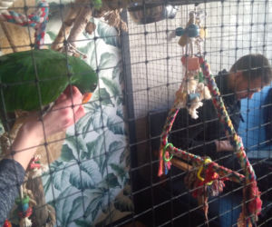 Parrot Coffee