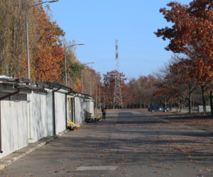 Wszystkich Świętych 2020. Przerażający widok z cmentarzy w Warszawie