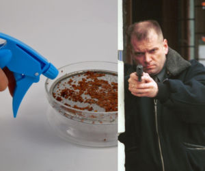 Rzeżuchy które wyglądają jak Krzysztof Rutkowski i jego legendarne fryzury