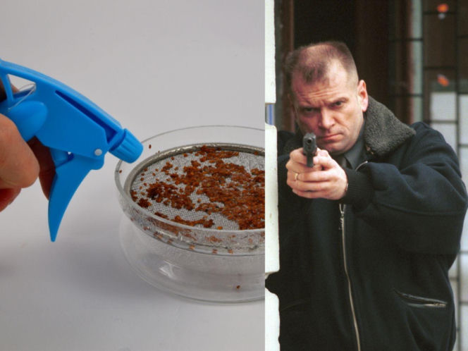 Rzeżuchy które wyglądają jak Krzysztof Rutkowski i jego legendarne fryzury