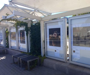 Wystawa Absolwentów Fotografii w Galerii Jazzowej, będzie też film!