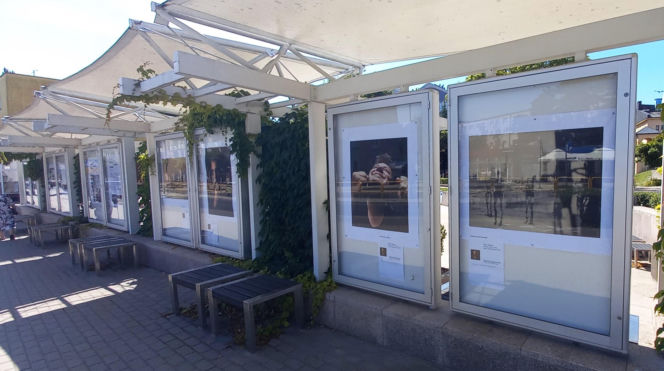 Wystawa Absolwentów Fotografii w Galerii Jazzowej, będzie też film!