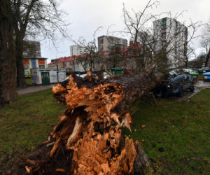 Skutki wichury w Kołobrzegu