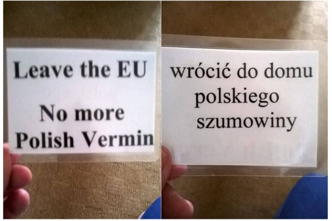 Zwollenicy Brexitu nie chcą Polaków! Wracać do domu polskie szumowiny