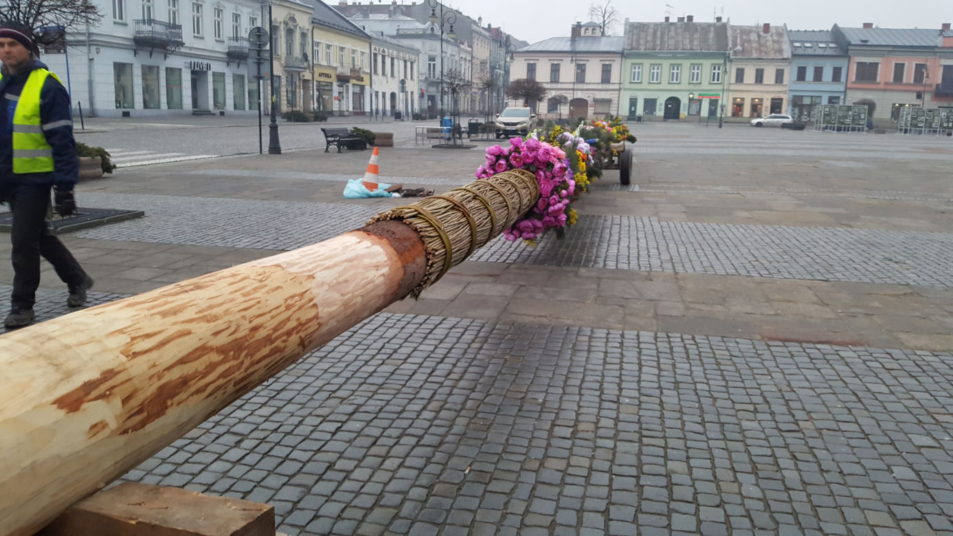 Ogromna palma wielkanocna na nowosądeckim Rynku 