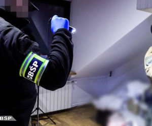 Akcja służb wymierzona w potężny gang