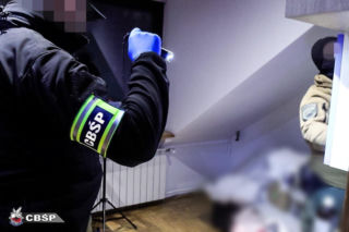 Akcja służb wymierzona w potężny gang