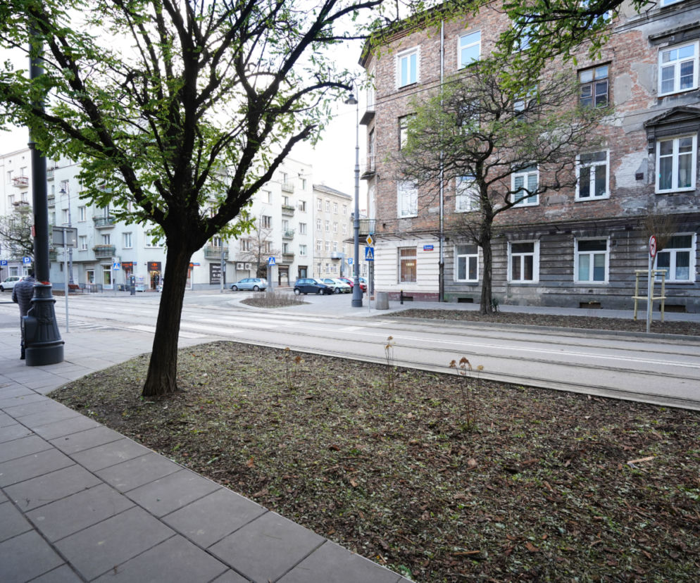 ZDM rozbetonował ul. Stalową na Pradze Północ! Stała się bardziej zielona
