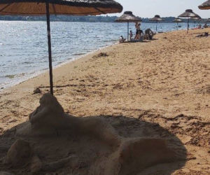 Szukamy imienia dla Syrenki, która pojawiła się na plaży w Brodach