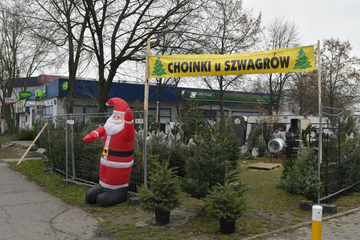  Gdzie najtaniej kupić choinkę w Warszawie? 