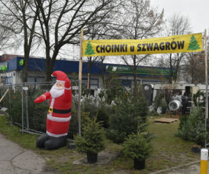  Gdzie najtaniej kupić choinkę w Warszawie? 