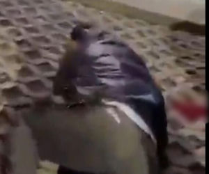 Brutalna bójka Tadżyków w stolicy