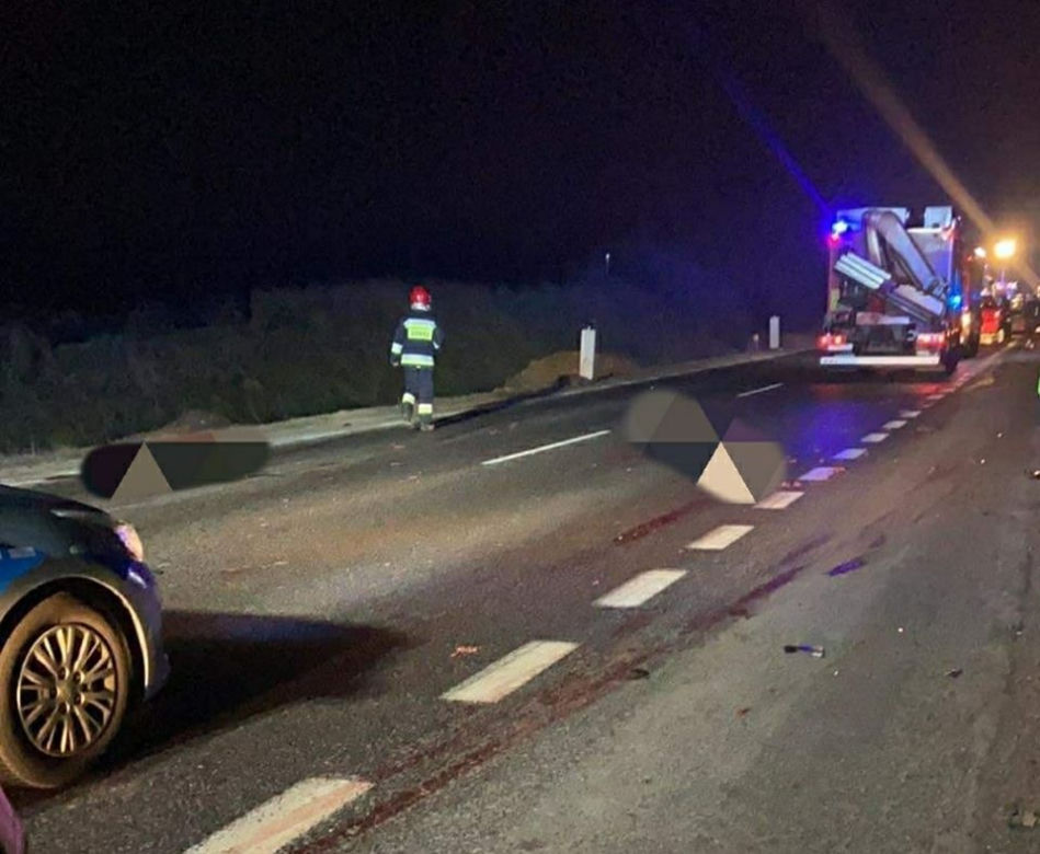 Samochód wjechał w stado dzików