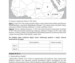 Matura z WOSu 2020. Zobacz ARKUSZ CKE