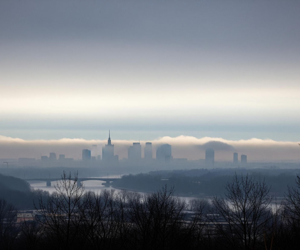 Panoramię miejskiego krajobrazu dominuje linia wieżowców, których szczyty wystają ponad gęstą warstwę mgły lub chmur, rozciągającą się horyzontalnie przez środek kadru. Najwyższy wieżowiec w centrum posiada spiczasty dach, a po obu jego stronach widoczne są inne, prostokątne budynki o różnej wysokości, wszystkie sprawiające wrażenie sylwetek. Poniżej mgły rozpościera się ciemniejszy, zalesiony teren z widoczną rzeką i biegnącym nad nią mostem. Na pierwszym planie znajdują się ciemne, bezlistne drzewa, ich gałęzie kontrastują z jaśniejszym, zamglonym tłem.