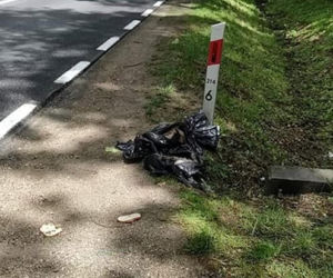 Podkarpackie. Suczka czuwała nad ciałami szczeniąt