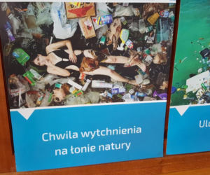 Ekologia po bydgosku. Uczniowie mają pomysł, jak dbać o środowisko