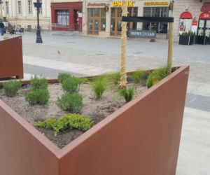 Stary Rynek