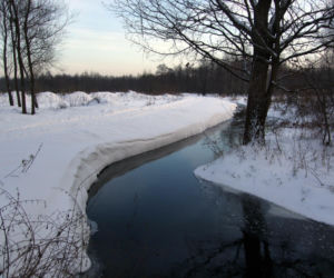 Idealne miejsca na zimowy spacer w Warszawie
