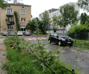 Koszmarne skutki burzy w Warszawie. Ulice popłynęły, drzewa łamały się jak zapałki