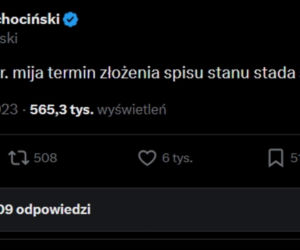 Najsłynniejsze tweety polskiej polityki