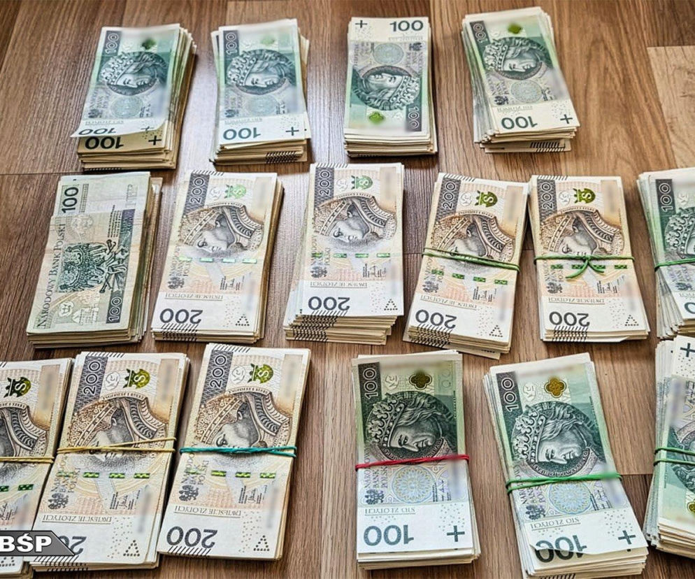 Rozbicie gangu w Katowicach. Wielomilionowe straty. Wiadomo, czym się zajmowali