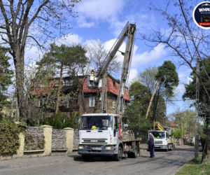 Powalone drzewa i awarie prądu w części województwa
