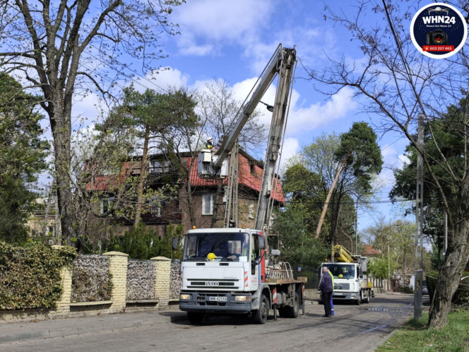 Powalone drzewa i awarie prądu w części województwa