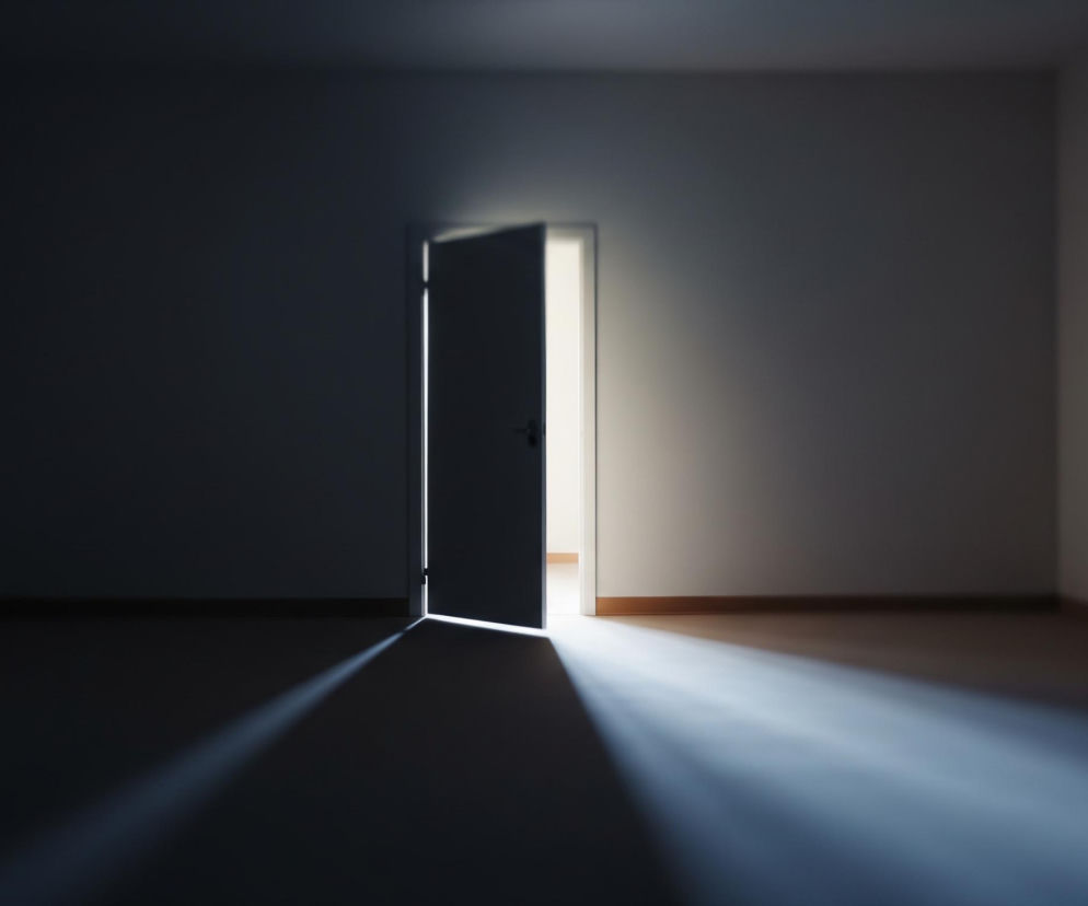 W centralnej części obrazu znajduje się uchylone, szare drzwi, przez które wpada jasne, białe światło do ciemnego pomieszczenia. Światło tworzy wydłużony, stożkowy snop na podłodze, rozjaśniając również część ściany po prawej stronie drzwi. Pomieszczenie, z którego patrzymy, ma ciemnoszare ściany i podłogę, a jego rogi są niewyraźne z powodu cienia. Po prawej stronie, za drzwiami, widać jaśniejsze wnętrze z jasnymi ścianami i podłogą wykończoną brązową listwą.