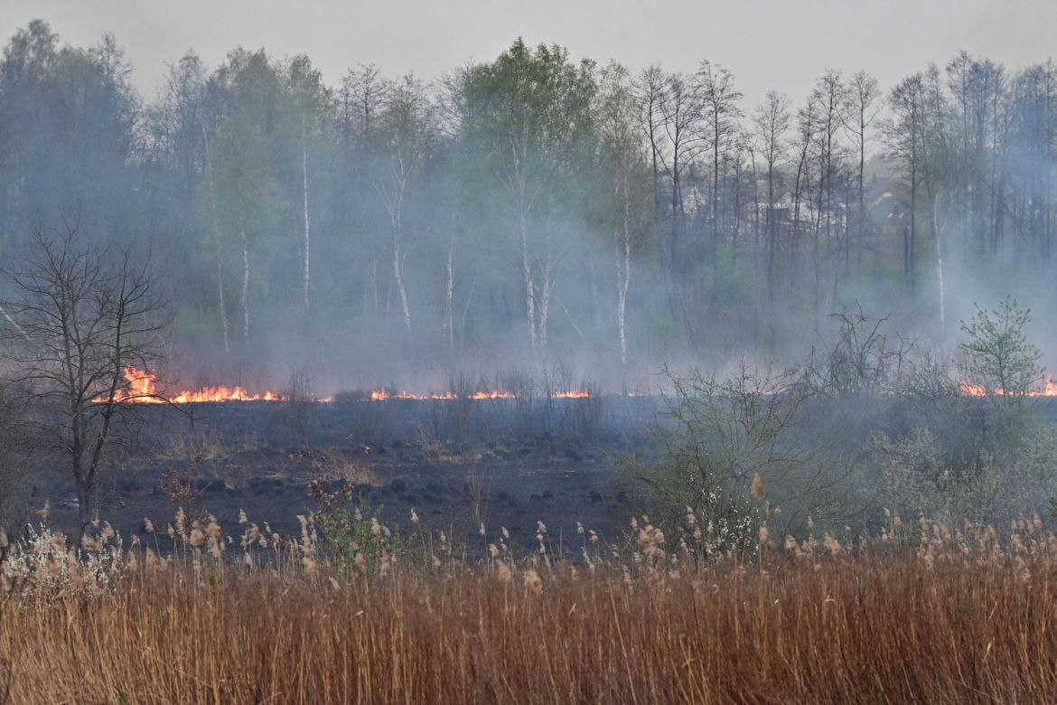 Pożar traw w krakowskiej dzielnicy Dębniki