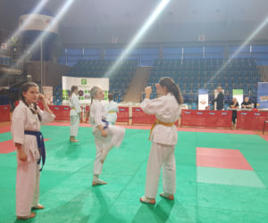 Mistrzostwa Karate Kyokushin w Dąbrowie Górniczej