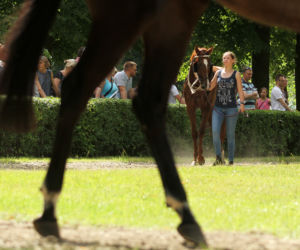 Ladies Day i Crystal Cup na Partynicach