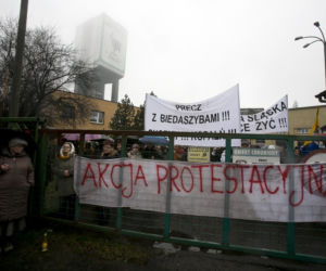 Przestańcie nas robić w ciula